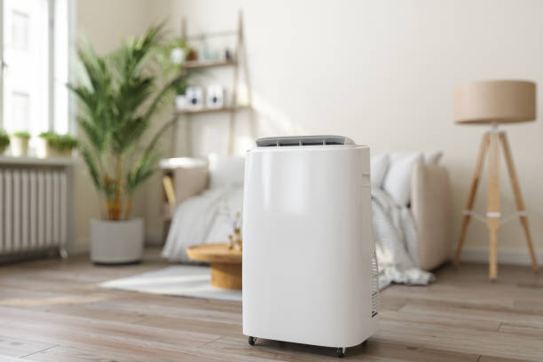 Best HVAC air duct cleaning  in Thompson, ND